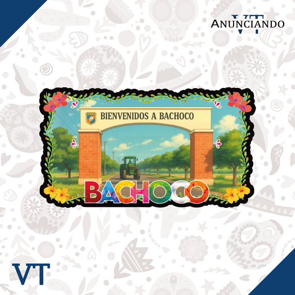 Bachoco - Catálogo VT