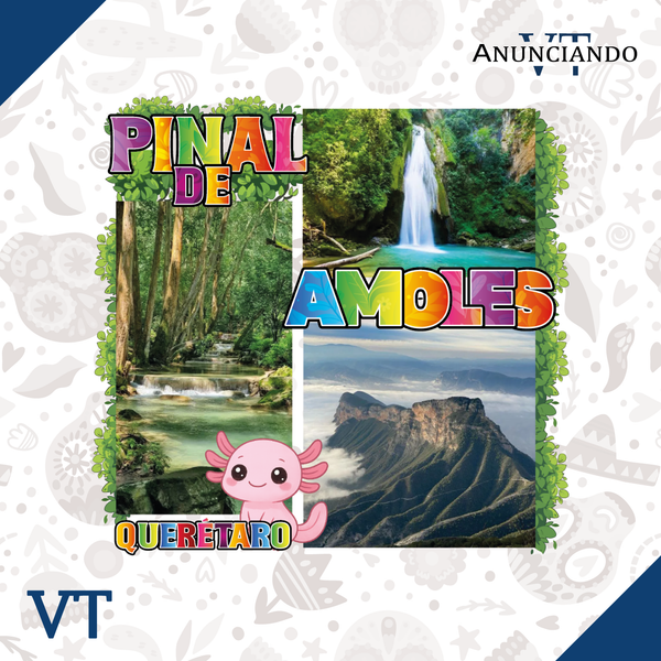 Pinal de Amoles  - Catálogo VT