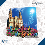 San José de Gracía - Catálogo VT