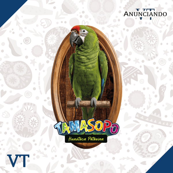 Tamasopo - Catálogo VT