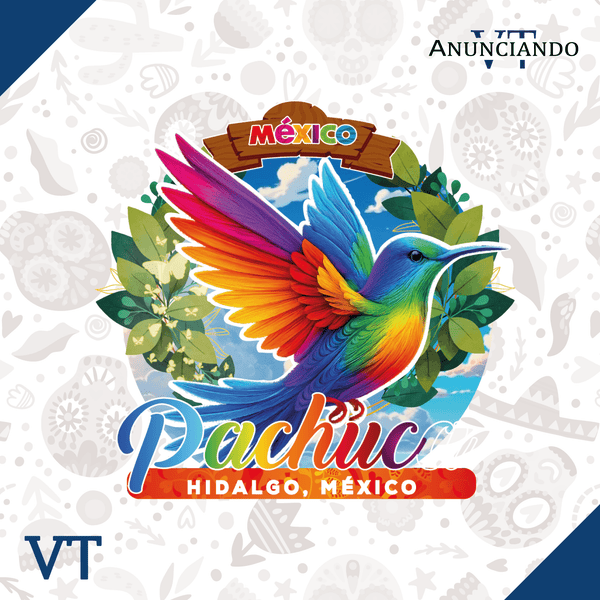 Pachuca - Catálogo VT