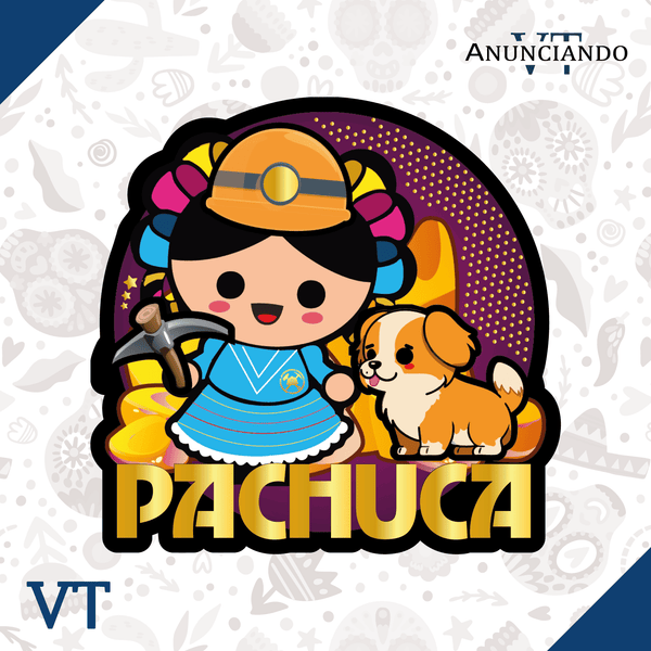 Pachuca - Catálogo VT