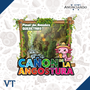 Cañon de la Angostura - Catálogo VT