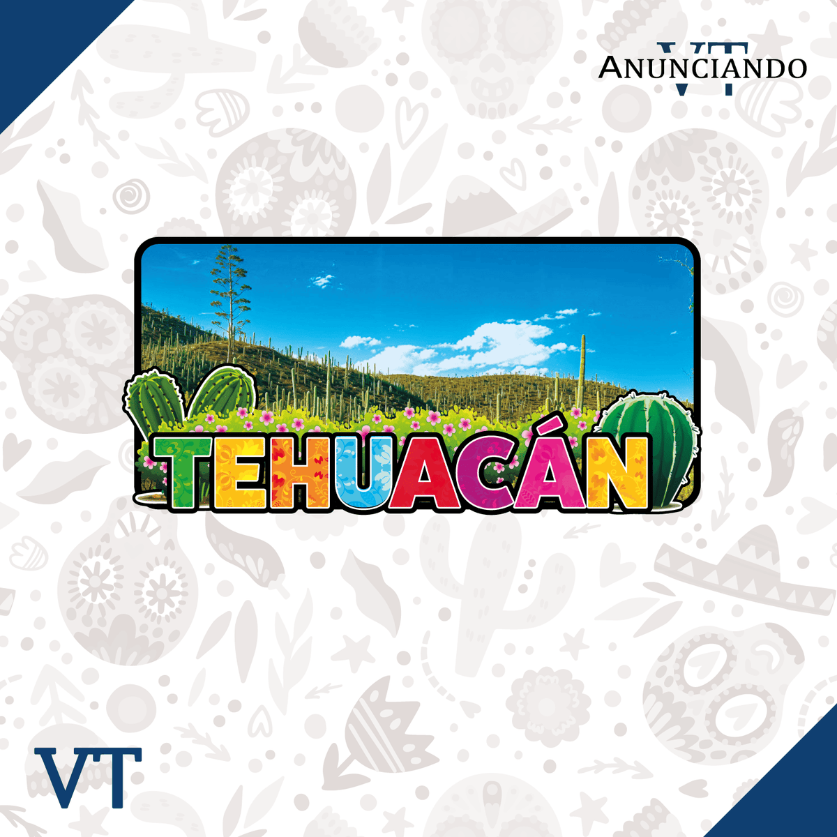 Tehuacán - Catálogo VT