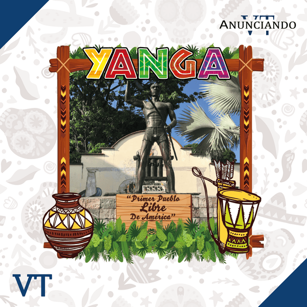 Yanga - Catálogo VT