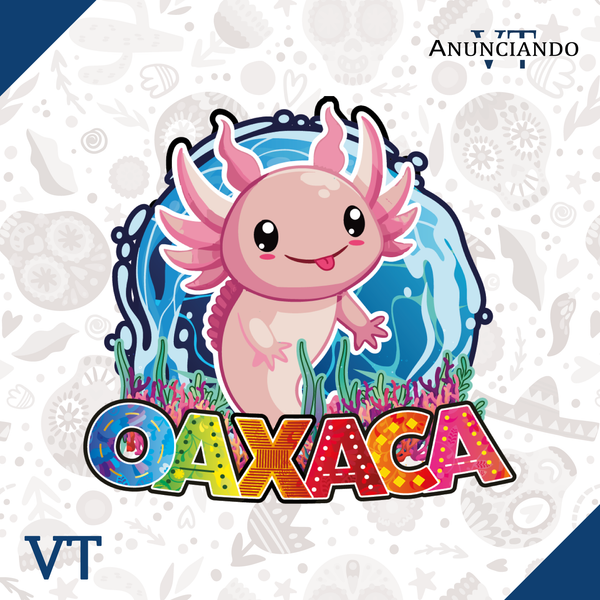 Oaxaca  - Catálogo VT